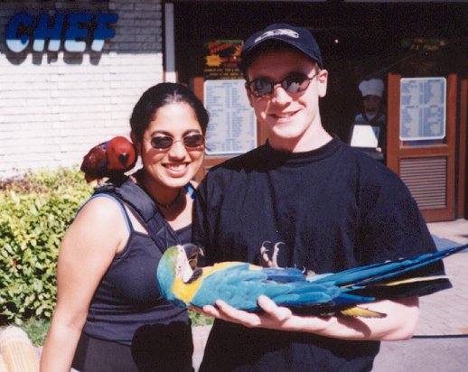 Click to return to galary