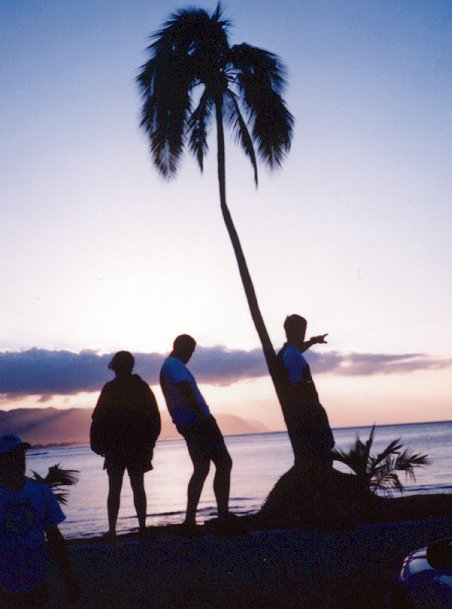 Click to return to galary