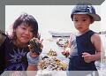 takumi_and_shellfish.jpg