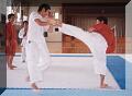 karate_kick.jpg