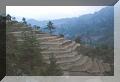 terraced_fields2.jpg