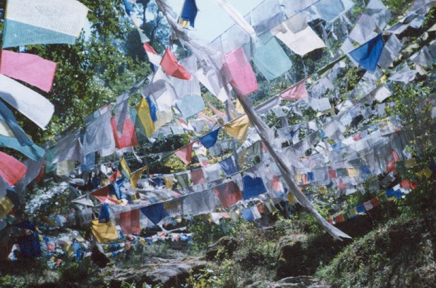 Click to return to galary