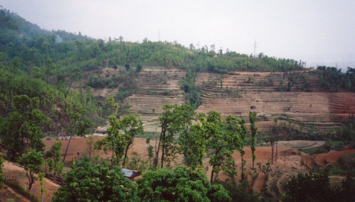 Click to return to galary