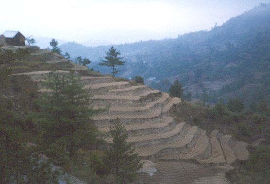 Click to return to galary