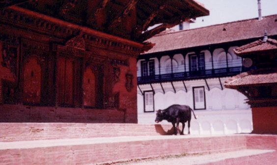 Click to return to galary