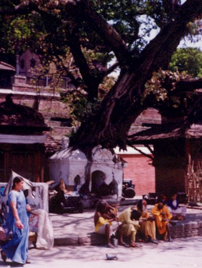 Click to return to galary