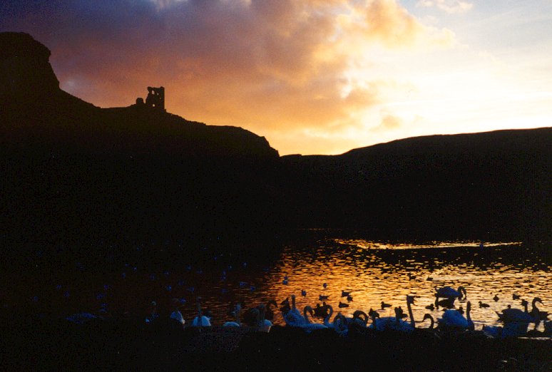 Click to return to galary